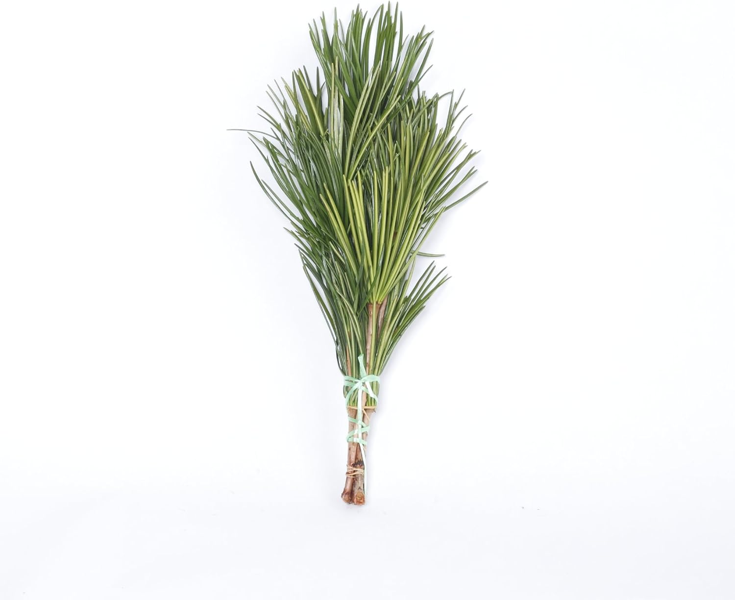 高野槇 コウヤマキ 仏花の花台 40cm 高野山の霊木 仏壇用 お供え